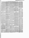 Rutland Echo and Leicestershire Advertiser Friday 06 July 1877 Page 5