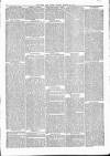 Rutland Echo and Leicestershire Advertiser Friday 29 March 1878 Page 3
