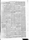 Rutland Echo and Leicestershire Advertiser Friday 19 March 1880 Page 3