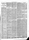 Rutland Echo and Leicestershire Advertiser Thursday 24 June 1880 Page 5