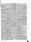 Rutland Echo and Leicestershire Advertiser Saturday 05 February 1881 Page 7