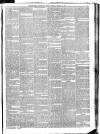 Linlithgowshire Gazette Saturday 23 February 1895 Page 5