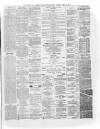 Buteman Saturday 17 April 1875 Page 3
