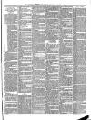 Chichester Observer Wednesday 02 January 1889 Page 7