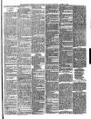 Chichester Observer Wednesday 18 October 1893 Page 7