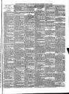 Chichester Observer Wednesday 24 January 1894 Page 3