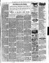 Chichester Observer Wednesday 16 August 1899 Page 7