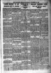 Worthing Herald Saturday 27 December 1924 Page 11