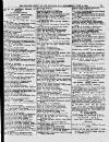 Bognor Regis Observer Wednesday 16 June 1880 Page 9