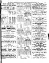 Bognor Regis Observer Wednesday 12 January 1881 Page 11