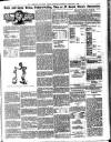 Bognor Regis Observer Wednesday 08 February 1905 Page 3