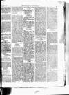 West Sussex County Times Wednesday 18 February 1874 Page 3