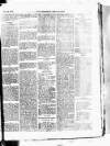 West Sussex County Times Wednesday 25 February 1874 Page 3