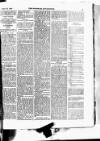 West Sussex County Times Wednesday 15 April 1874 Page 3
