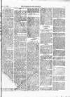 West Sussex County Times Wednesday 03 June 1874 Page 3