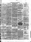 West Sussex County Times Wednesday 07 July 1875 Page 3