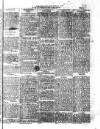 West Sussex County Times Wednesday 08 March 1876 Page 3