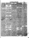 West Sussex County Times Wednesday 05 April 1876 Page 3