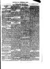 West Sussex County Times Wednesday 10 May 1876 Page 3