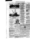 West Sussex County Times Wednesday 10 May 1876 Page 8
