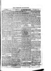 West Sussex County Times Saturday 20 May 1876 Page 3