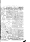 West Sussex County Times Saturday 20 May 1876 Page 8