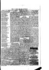 West Sussex County Times Saturday 30 September 1876 Page 5