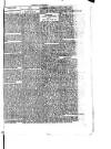 West Sussex County Times Saturday 23 December 1876 Page 3