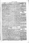 West Sussex County Times Saturday 24 February 1877 Page 5