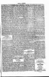 West Sussex County Times Saturday 24 March 1877 Page 5