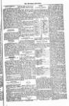 West Sussex County Times Saturday 23 June 1877 Page 5