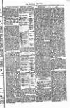 West Sussex County Times Saturday 07 July 1877 Page 7