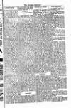 West Sussex County Times Saturday 03 November 1877 Page 7