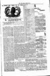 West Sussex County Times Saturday 05 January 1878 Page 7