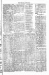 West Sussex County Times Saturday 26 January 1878 Page 7
