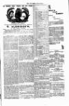 West Sussex County Times Saturday 02 February 1878 Page 3