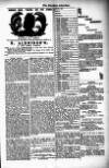 West Sussex County Times Saturday 09 February 1878 Page 3