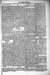 West Sussex County Times Saturday 23 February 1878 Page 3