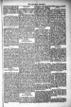 West Sussex County Times Saturday 23 February 1878 Page 5