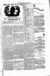 West Sussex County Times Saturday 06 April 1878 Page 7