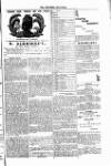 West Sussex County Times Saturday 13 April 1878 Page 7