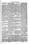 West Sussex County Times Saturday 07 December 1878 Page 5