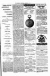 West Sussex County Times Saturday 21 December 1878 Page 7