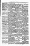 West Sussex County Times Saturday 28 December 1878 Page 5