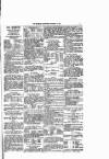 West Sussex County Times Saturday 08 February 1879 Page 7