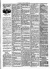 West Sussex County Times Saturday 06 September 1879 Page 5
