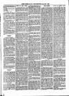 West Sussex County Times Saturday 24 April 1880 Page 3