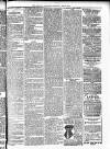 West Sussex County Times Saturday 03 January 1885 Page 7