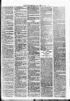 West Sussex County Times Saturday 25 December 1886 Page 11