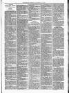 West Sussex County Times Saturday 15 October 1887 Page 3